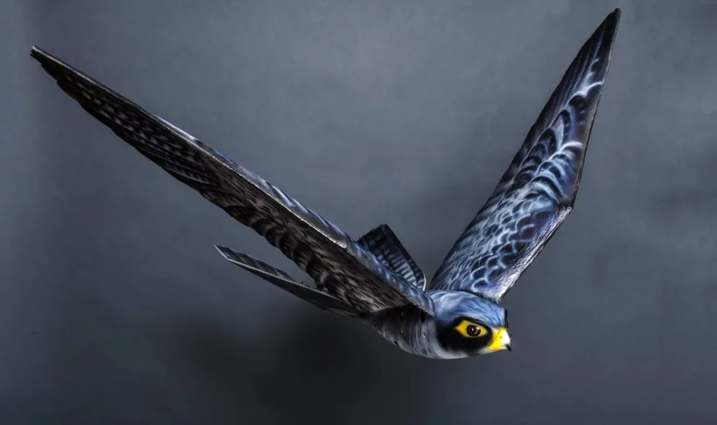 Ptice ne postoje – ‘To su dronovi koji špijuniraju za vladu’
