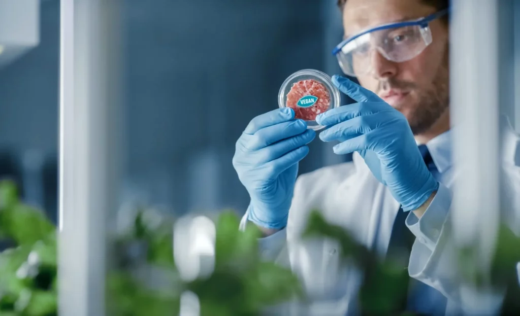 Biotehnologija: Hoće li laboratorijski uzgojeno meso doći do naših tanjura?